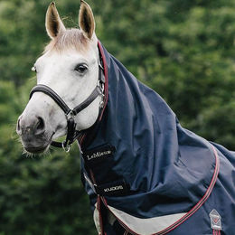 Produktbild von Outdoor-Decke für Pferde LeMieux Kudos 50 g
