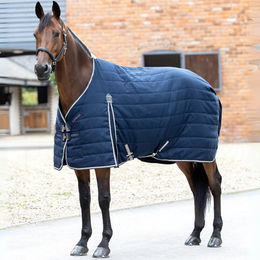 Produktbild von Outdoor-Decke für Pferde LeMieux Kudos 50g