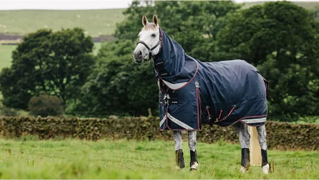Produktbild von Outdoor-Decke für Pferde LeMieux Kudos 50g