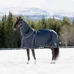 Produktbild von Outdoor-Decke für Pferde mit abnehmbarem Einband B Vertigo Georgina