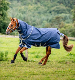 Produktbild von Outdoor-Decke für Pferde mit Halsabdeckung Horseware Amigo 1200D Plus Turnout 400g - 400 g