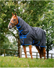 Produktbild von Outdoor-Decke für Pferde mit Halsabdeckung Horseware Amigo Ripstop 900D Plus Turnout - 200 g