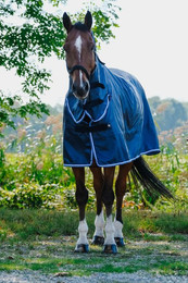 Produktbild von Outdoor-Decke für Pferde Riding World Combo
