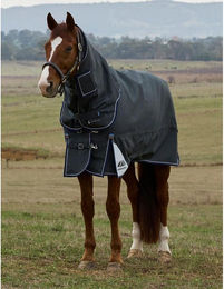 Outdoor-Decke für Pferde Weatherbeeta Comfitec Ultra 100g – Bild 1 von 9