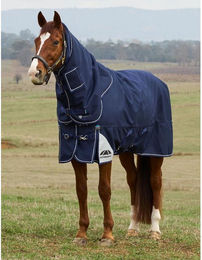 Outdoor-Decke für Pferde Weatherbeeta Comfitec Ultra 100g – Bild 1 von 9
