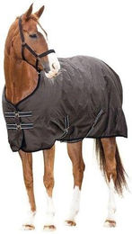 Produktbild von Outdoor-Decke HorseGuard 600D 200 g