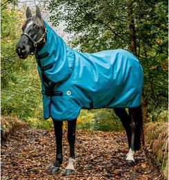 Produktbild von Outdoor-Decke Horseware Amigo Hero 900 Revive Plus