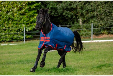 Produktbild von Outdoor-Decke Horseware Mio Turnout 200g - 200 g