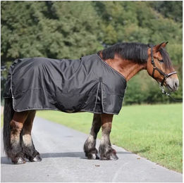 Produktbild von Outdoor-Decke Kavalkade Draft Horse