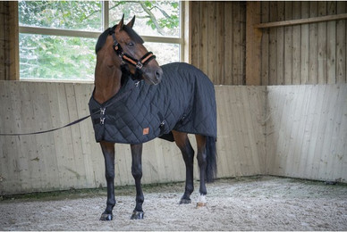 Produktbild von Outdoor-Decke Matelassé Paddock Sports