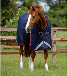 Produktbild von Outdoor-Decke Premier Equine Titan 200 g