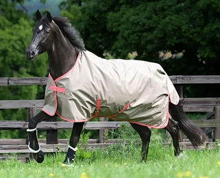 Produktbild von Outdoordecke Freedom Turnout Light 0 g