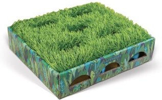 Produktbild von Outward Hound Grass Patch Hunting Box Small (Kunst-Gras)