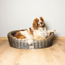 Produktbild von Ovaler Hundekorb aus Weide mit Kissen Duvoplus Provence