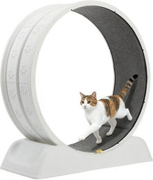 oyajia Tier-Aktivitätsspiel Tierlaufrad, Katzenlaufband, Laufband für Katzen, Zimmerläufer, PP-Kunststoff, Leise, Pfotenschutz, Feststellbar, 80cm Innendurchmesser – Bild 1 von 5