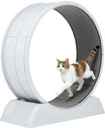 oyajia Tier-Aktivitätsspiel Tierlaufrad, Katzenlaufband, Laufband für Katzen, Zimmerläufer, PP-Kunststoff, Leise, Pfotenschutz, Feststellbar, 80cm Innendurchmesser – Bild 1 von 5