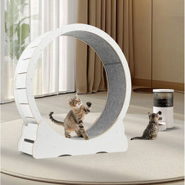 oyajia Tier-Intelligenzspielzeug Katzenlaufrad, MDF, MDF, Innendurchmesser – Bild 1 von 5