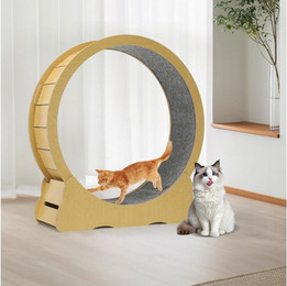 Produktbild von oyajia Tier-Intelligenzspielzeug Katzenlaufrad, MDF, MDF, Innendurchmesser