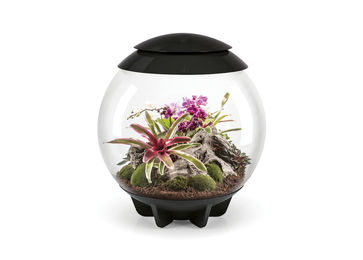 OASE biOrb AIR 60 automatisiertes Terrarium mit LED-Beleuchtung schwarz 60 l - 60 l – Bild 1 von 4