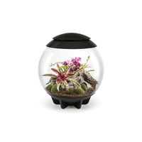 Produktbild von OASE biOrb AIR 60 automatisiertes Terrarium mit LED-Beleuchtung schwarz 60 l - 60 l