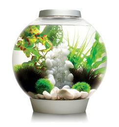 OASE biOrb CLASSIC 30 LED Aquarium Komplett-Set in Silber mit 30 Liter Volumen - 30 l – Bild 1 von 13