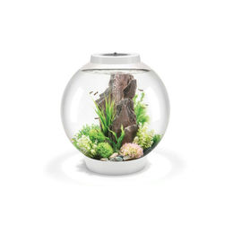 OASE biOrb CLASSIC 60 LED Aquarium in Kugelform weiß mit Filtersystem und LED-Beleuchtung - 60 l – Bild 1 von 11