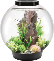 Produktbild von OASE biOrb CLASSIC 60 LED Aquarium in Schwarz