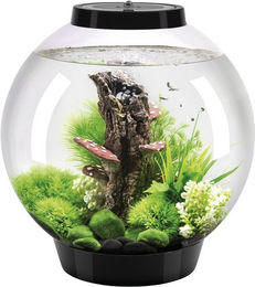 Oase biOrb CLASSIC Tabletop Aquarium mit LED Beleuchtung Schwarz 30 l – Bild 1 von 2