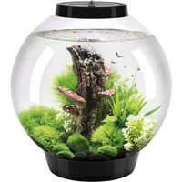 Produktbild von Oase biOrb CLASSIC Tabletop Aquarium mit LED Beleuchtung Schwarz 30 l