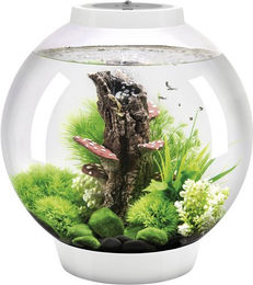 Produktbild von OASE biOrb CLASSIC Tabletop Aquarium mit LED Beleuchtung Weiss 30 l