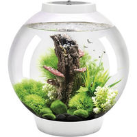 Produktbild von OASE biOrb CLASSIC Tabletop Aquarium mit LED Beleuchtung Weiss 30 l