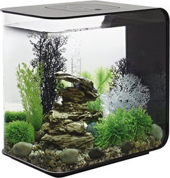 Produktbild von OASE biOrb FLOW 30 LED Aquariumbeleuchtung Schwarz