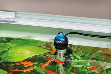 Oase HeatUp 100 Regelheizer Aquarium Heizstab für Süßwasser und Meerwasser 100W – Bild 1 von 7