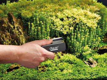 Oase Magnet-Scheibenreiniger für Süßwasser-Aquarien aus Kunststoff 10 mm - 100 g – Bild 1 von 7