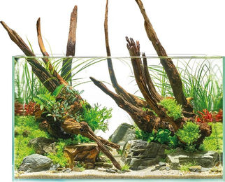 Oase ScaperLine Aquarium 60 – Bild 1 von 2