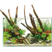 Produktbild von Oase ScaperLine Aquarium 60