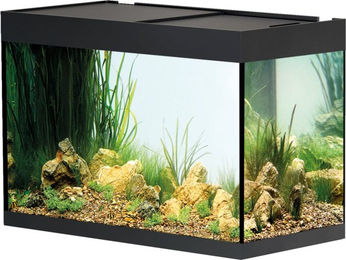 Oase StyleLine 175 Aquarium schwarz – Bild 1 von 3