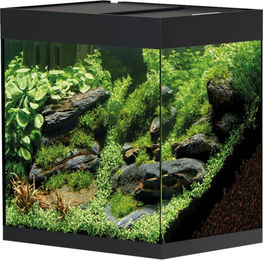 Oase StyleLine 85 Aquarium Schwarz – Bild 1 von 4
