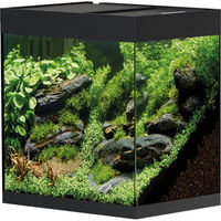 Produktbild von Oase StyleLine 85 Aquarium Schwarz