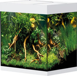 Oase StyleLine 85 Aquarium weiß – Bild 1 von 5