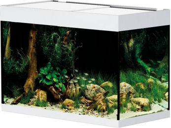 Oase StyleLine Aquarium weiß 175 – Bild 1 von 3