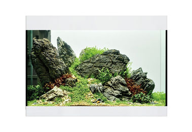 Oase StyleLine Modell 125 Aquarium weiß – Bild 1 von 3