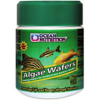 Produktbild von Ocean Nutrition Algae Wafers Algenwaffeln für Süßwasser-Bodenfische 150g - 150 g