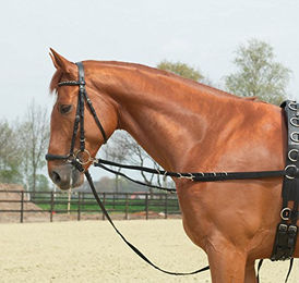 Produktbild von OESEN-STARR Ausbindezügel aus Metall in Schwarz für Warmblut Pferde