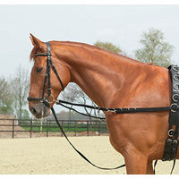 Produktbild von OESEN-STARR Ausbindezügel aus Metall in Schwarz für Warmblut Pferde