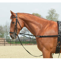 Produktbild von OESENSTARR Busse Ausbindezügel für Ponys aus Nylon in Schwarz