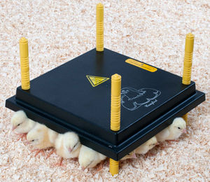 Olba Chicktec Küken-Wärmeplatte Comfort für Hühner 22 W Schwarz – Bild 1 von 2