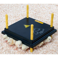 Produktbild von Olba Chicktec Küken-Wärmeplatte Comfort für Hühner 22 W Schwarz