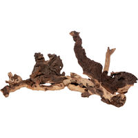 Produktbild von Olibetta Mopani Wurzel als lebende Pflanze und Filtermedium aus Holz