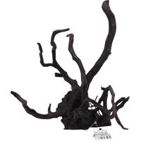 Produktbild von Olibetta Schwarze Moorwurzel Holz Größe L